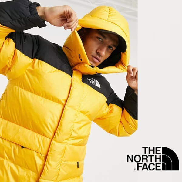 【USモデル】The North Face HMLYN ヒマラヤン ダウンジャケット