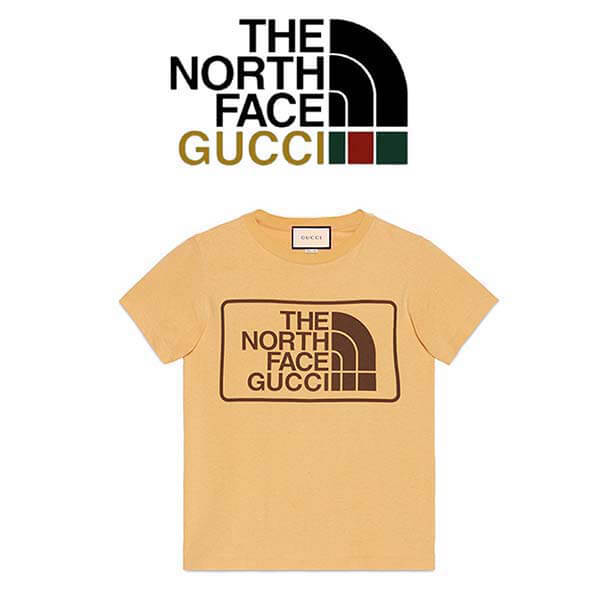 ノースフェイス グッチ tシャツ偽物激安 gucci northface T-SHIRT