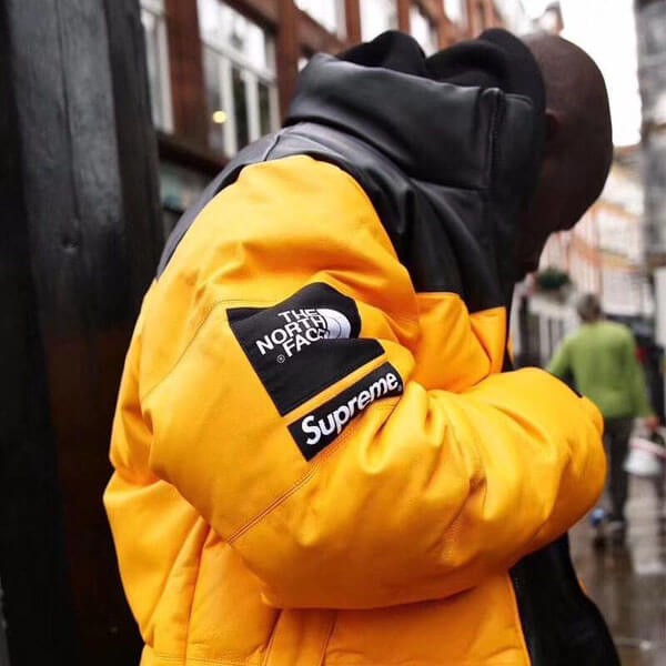 シュプリーム north face 偽物 シュプリーム ノースフェイス ダウン ヌプシ 偽物 レザーダウンジャケット 3色