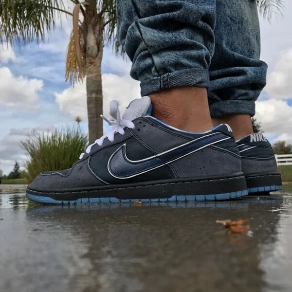 NIKE Concepts 偽物 ナイキ SB ダンクロー コンセプト ブルー ロブスター 313170-342