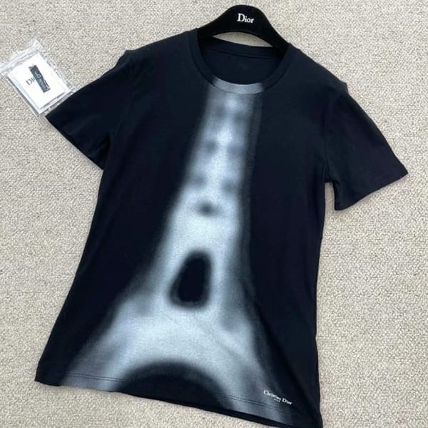 ディオール Tシャツ エッフェル塔 コピー 2色 353T09A4515_X5815