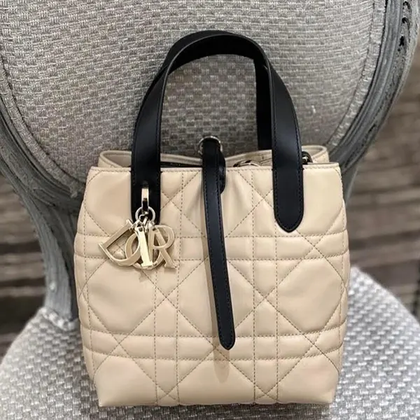 ディオール スモールバーティカル トートバッグ M2835OSIY_M963