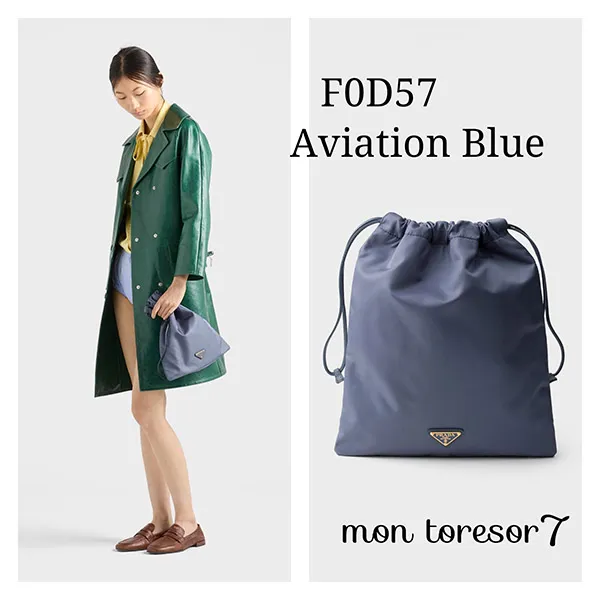 超限定プラダナイロンポーチ関税込みプラダウィッシュRe-Nylonポーチ 1NK01M_2HG6_F0D57
